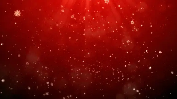 Cursor AI Premium